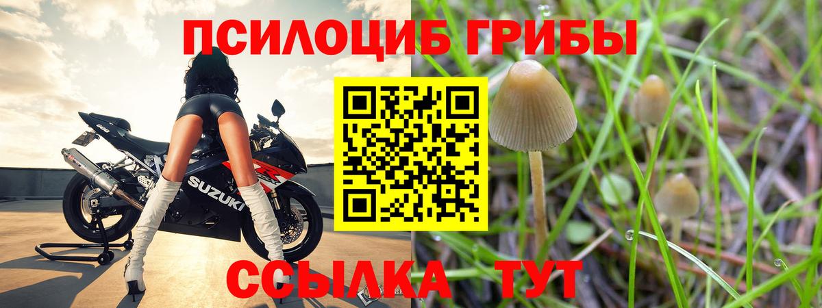 Галлюциногенные грибы Cubensis Ливны