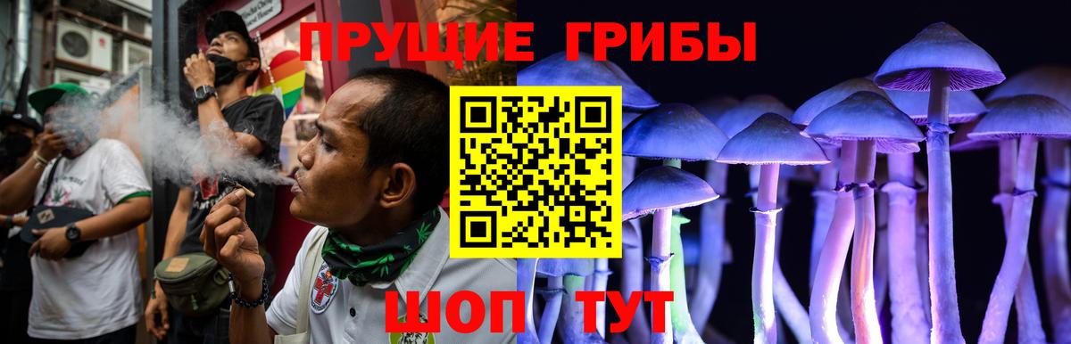 Ливны  Псилоцибиновые грибы Psilocybe  Вход с VPN  купить закладку  Галлюциногенные грибы Magic Shrooms 
